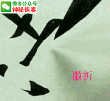 新闻频道-手机搜狐