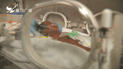 心疼!早产儿掉在厦门机场的马桶里!父亲一直没出现的原因竟是