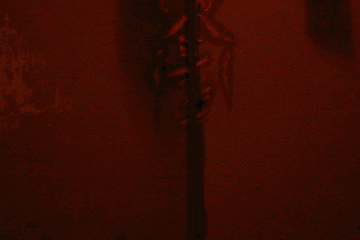 魔都最恐怖真人角色扮演游戏来袭!