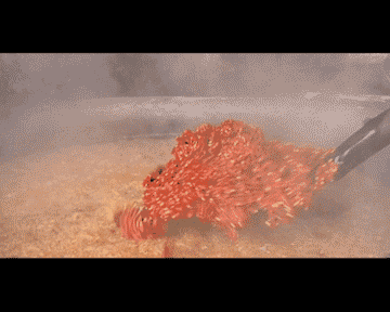 这些串串吃一次就沦为脑残粉,撸到根本停不下来,越撸越开心!