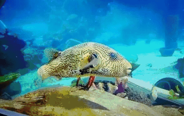 今天,石家庄,赵县,正定……都在传这个