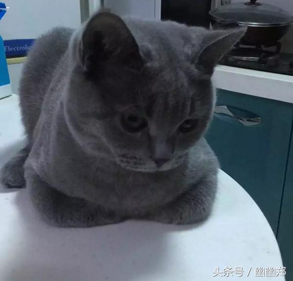 a81ls97551715057769.jpg