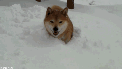 什么,周末北京要下大雪?再看看下周这一天的气温我就哭了