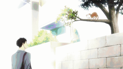 周末荐影│《月刊少女野崎同学》你今天难过么?我说个