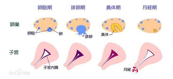 a3r6t5571589146371.jpg