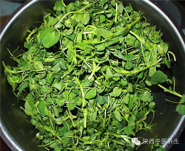 【陕西食疗养生】野菜麦饭也食疗