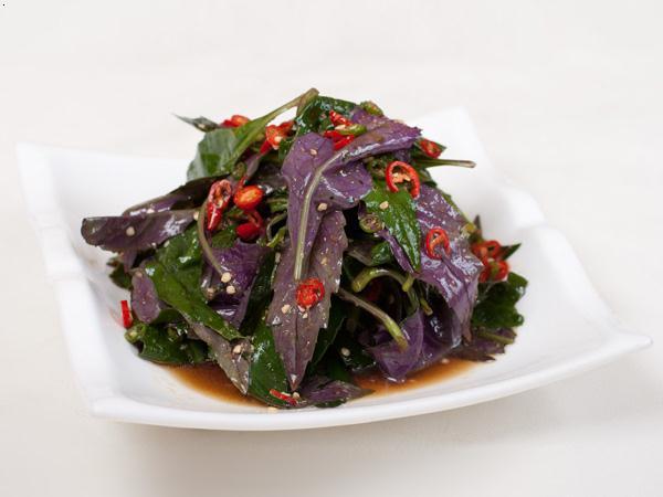 理气止痛去虚火,药,菜两用的"血皮菜"