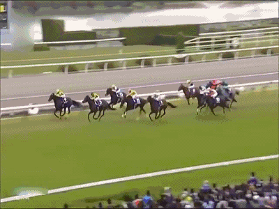 07-11.13)—你的赛马产业侦察兵