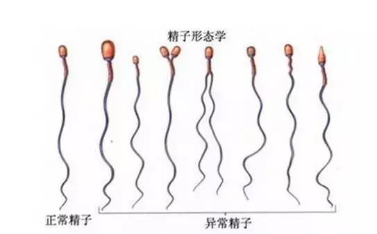试管婴儿移植一周
