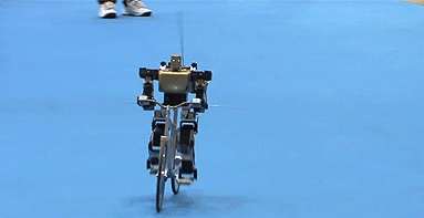 a3t34d5176097488543.gif