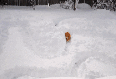 快拉我一把! 真是身残志坚, 小编流下了感动的泪水.