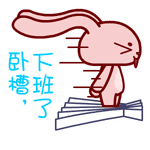 据说这就是泉州人一天的朋友圈,90%都中枪了!
