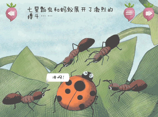《七星瓢虫的美餐》清新的画面结合童趣的昆虫故事,具有科学性,趣味性