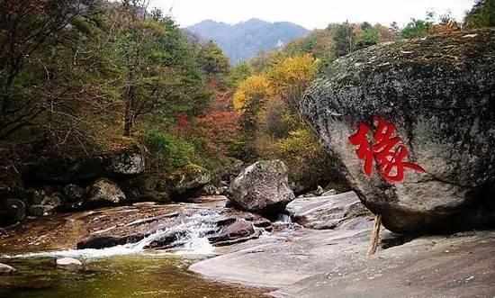 勉县云雾寺:终年神雾绕古寺-旅游频道-手机搜狐