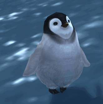 壁纸 动物 海报 鸟 鸟类 330_334 gif 动态图 动图