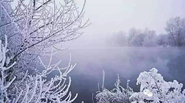 初雪之约，经典短剧的永恒魅力