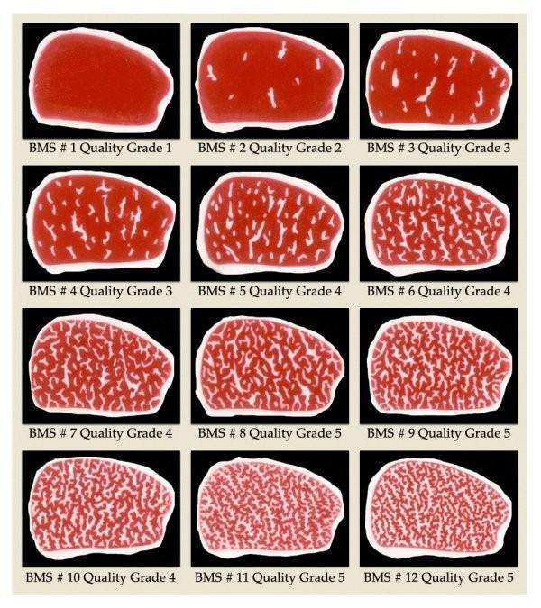 日本雪花牛肉?没有一片来自日本