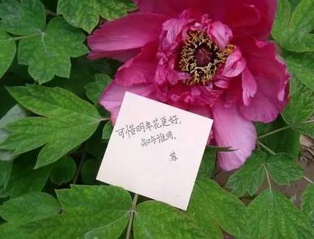 天蝎座2016年11月23日数字手机-星座频道-整体搜狐2018年金牛座a数字运势是几图片