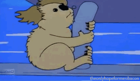 481_277gif 动态图 动图