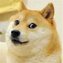 可爱柴犬著名网红动漫头像