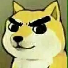 可爱柴犬著名网红动漫头像