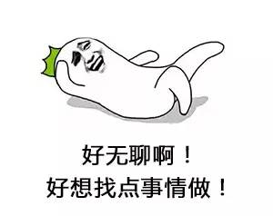 b7e2lf8355255579325.jpg