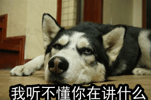 今日神段 | 男票不会聊天是怎样的一种体验?