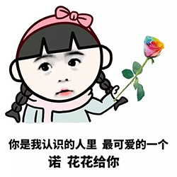 什么是缺心眼 a4nift679920040900.png