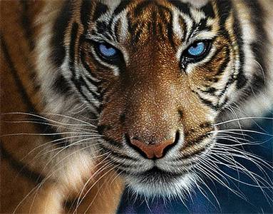 不过,老虎在古人的印象里也不完全是令人崇拜的,             种凶猛