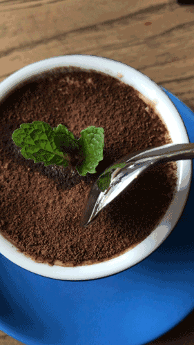 281_500 竖版 竖屏