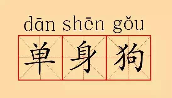 形容时尚的词语