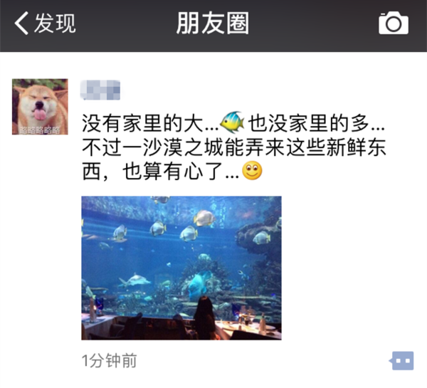 如何在朋友圈中优雅的装逼?掌握这5点就够了!