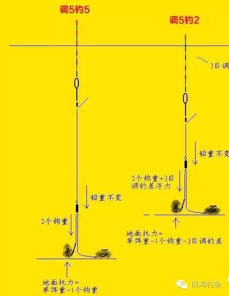 【钓鱼技巧】台钓调漂灵敏度,图解调5钓2