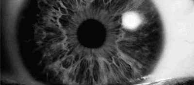 2017年上市!-科技频道-手机搜狐