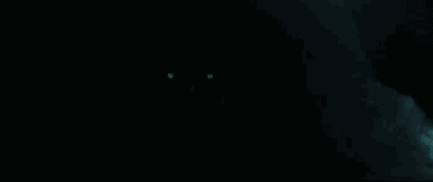 480_202