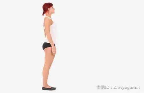 a5vdgy40405844029596.jpg