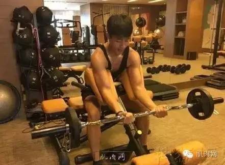 瘦子逆袭 魏晨迷上健身房健身