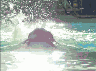 从小因为身体瘦弱 妈妈把上小学三年级苏志燮送去学游泳 (每个游泳