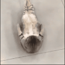 珠江时报mp11-28 20:06 大 来源|钱江晚报(qianjiangwanbao),南方