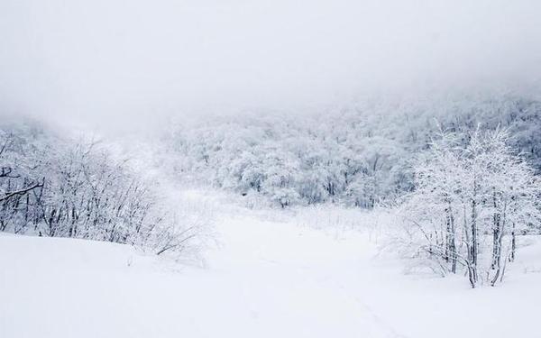 大雪纷飞的季节,去东北都可以做什么?