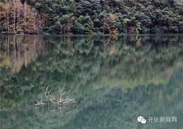 余问清/摄 杨林有5座水库,深秋时节,王山水库,东坑口水库边的山林里