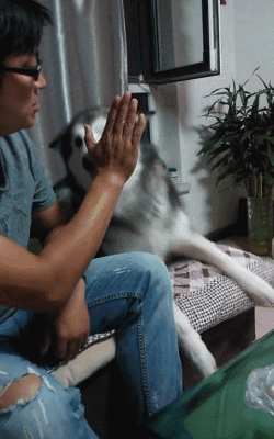 最见不惯装b的人了,这就是下场-新闻频道-手机搜狐