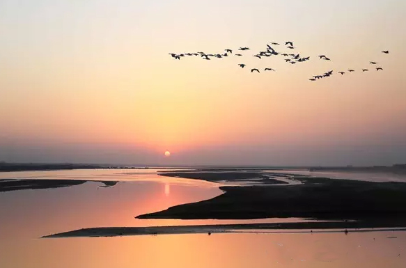 乡愁花月夜图片