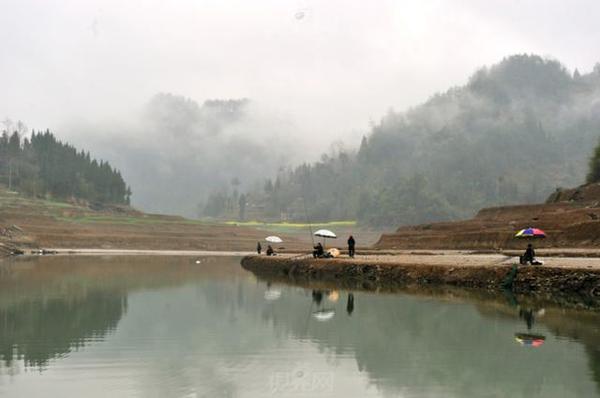 林家岩水库(免费) 地址:重庆市璧山县来凤镇 主要鱼种:鲤鱼,草鱼