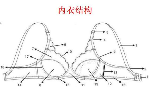 不信你看看,一般文胸基本由胸位,肩位和背位组成.