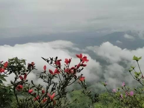 齐天大圣的祖地——顺昌宝山