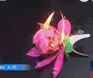 319_266gif 动态图 动图