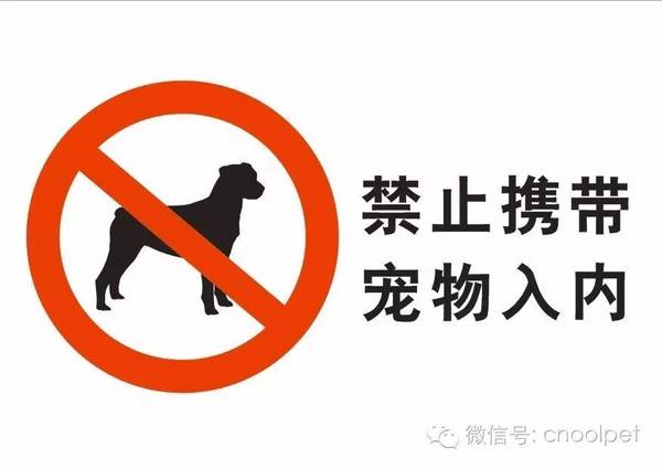 公园管理方表示,经常会遇见市民投诉小狗随地大小便,污染了环境.