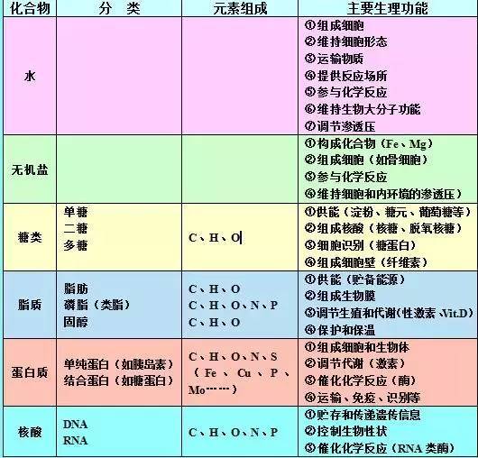 a19vcd05802685556.jpeg