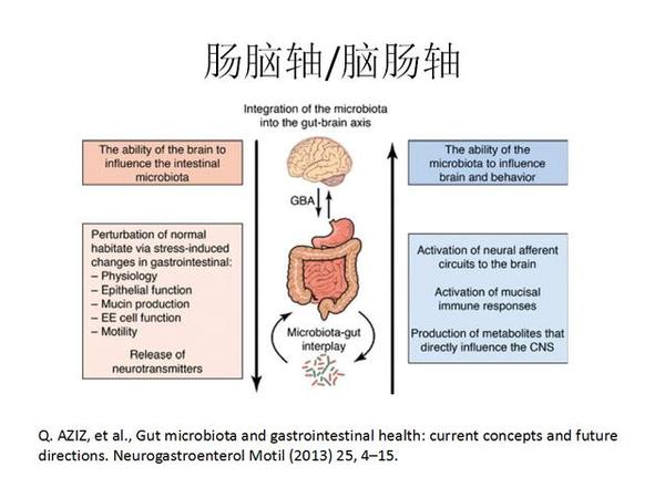 肠道菌群与神经代谢类疾病关系密切